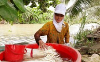 Nhiều mô hình kinh tế của phụ nữ Khmer ở Sóc Trăng