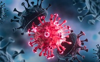 Bộ Y tế nói gì về biến thể JN.1 của virus SARS-CoV-2?