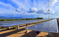 Bộ Công Thương bổ sung 168 dự án điện mặt trời sai quy định, cao gấp 17,3 lần quy hoạch
