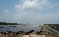 "Điểm tên" loạt dự án điện mặt trời xây dựng trên đất rừng sản xuất ở Bình Phước