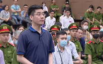 Vụ "Chuyến bay giải cứu": Sắp xét xử kháng cáo kêu oan của cựu điều tra viên Hoàng Văn Hưng