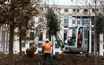 Paris trồng "rừng đô thị" đầu tiên