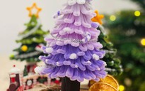 Sức hút của cây thông kẽm nhung