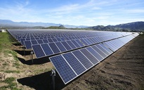 Đề xuất hạ giá mua điện hàng chục dự án điện mặt trời, điện gió