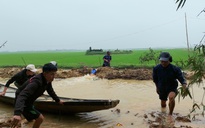 Hàng ngàn hecta lúa ngập úng, người dân "chạy đua" cứu lúa