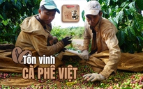 Tôn vinh cà phê Việt