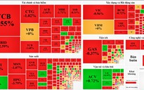 Lo ngân hàng Mỹ đóng cửa, cổ phiếu trong nước "đổ đèo"