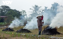 Khổ bởi khói đốt đồng