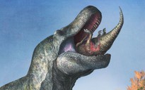 Phát hiện sốc về “quái vật mỉm cười” 66 triệu năm trước