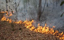 Phát hiện thi thể 2 công nhân sau khi dập tắt cháy rừng