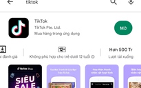 TikTok Việt Nam: "Rất trông chờ được đón tiếp đoàn thanh tra"