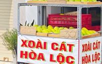 Xoài cát Hòa Lộc giá rẻ chưa từng có