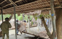 Đà Nẵng cưỡng chế loạt công trình trái phép ở bán đảo Sơn Trà