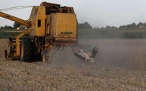 Đau đầu vì nông sản Ukraine, EU bơm gấp 100 triệu euro