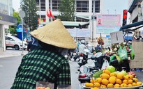 Tiểu thương bán xoài Trung Quốc nhưng né xuất xứ