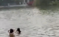 Thông tin bất ngờ vụ 2 người "tắm tiên" ở hồ Gươm