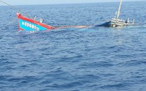 Tàu cá Quảng Nam bị một tàu sắt đâm chìm