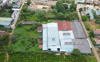 Lâm Đồng: Đề nghị thu hồi dự án của Công ty Trung Nguyên