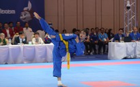 Vovinam sẽ phát triển theo chuẩn Olympic