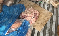 Công an tạm giữ khoảng 10 tấn nội tạng, thịt bò ở Thủ Đức