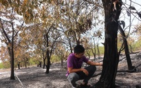 Đốt rừng phòng hộ để diễn tập chữa cháy cho… sát thực tiễn