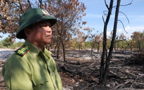 Đốt rừng… để diễn tập chữa cháy: Quảng Nam thừa nhận sai sót!