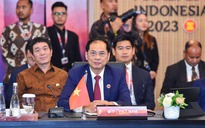 Củng cố năng lực tự cường của ASEAN