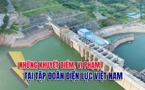 Chi tiết những khuyết điểm, vi phạm tại Tập đoàn Điện lực Việt Nam