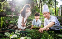 Khánh Hòa phát động chương trình “Hành động xanh - Vì tương lai xanh”