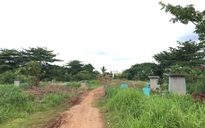 Nhiều hướng mở không gian xanh ở TP HCM