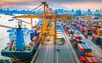 Đề nghị UAE điều tra doanh nghiệp nghi lừa đảo 5 container nông sản của Việt Nam