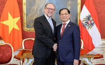 Áo sẽ sớm phê chuẩn Hiệp định bảo hộ đầu tư Việt Nam - EU