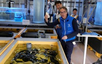 Nhật Bản xử lý nước thải nhiễm phóng xạ ra sao?