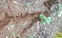 Đắk Nông: Xuất hiện thêm nhiều vết nứt mặt đất, có nơi sâu đến 2 mét