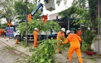 EVNSPC chủ động ứng phó, đảm bảo cung cấp điện mùa mưa bão