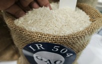 Lý do giá gạo xuất khẩu Việt Nam đột ngột rời đỉnh