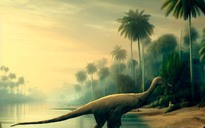 Nhật Bản: Phát hiện "đà điểu lai khủng long" 121 triệu tuổi