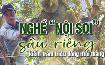 "Nội soi" sầu riêng kiếm trăm triệu đồng mỗi tháng