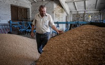 Kỳ vọng giảm nhiệt căng thẳng lương thực