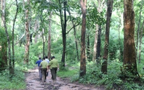 Bình Thuận kiểm tra khu rừng hơn 600 ha làm hồ chứa nước Ka Pét