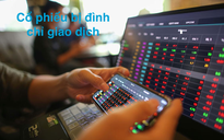 Hàng loạt cổ phiếu bị đình chỉ giao dịch, có cả IBC của Shark Thủy