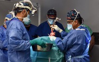 Kỳ vọng đột phá trong ghép tạng