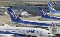Hành khách cắn tiếp viên, máy bay vội quay đầu về Nhật Bản 