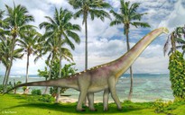 Bốn quái thú nặng 67 tấn "trở về" sau 95 triệu năm tuyệt tích