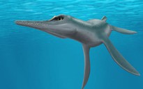 Mỹ: Xuất hiện quái vật 80 triệu tuổi đầu cá sấu, mình cá heo