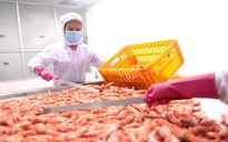 Để bảo hiểm thất nghiệp thêm sức hút