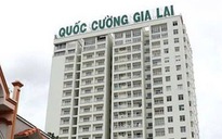 Cổ phiếu Quốc Cường Gia Lai giảm kịch sàn sau khi kiểm toán viên bị đình chỉ