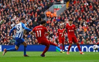 Soi tỉ số trận Liverpool - Brighton: Khách khó cản chủ nhà