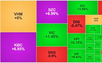 Chứng khoán trước giờ giao dịch 7-11: Ai đã gom mạnh cổ phiếu trong ngày ông Trump đắc cử?