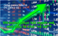 Chứng khoán tuần tới (từ 2 đến 6-12): VN-Index phục hồi mạnh mẽ, nhà đầu tư sắp "về bờ"?